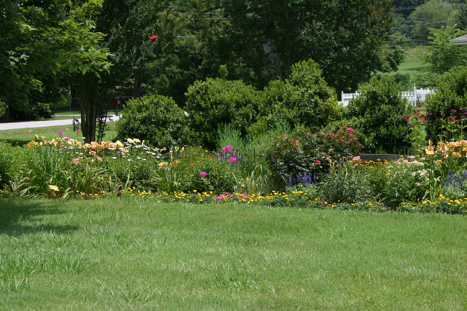 Lee's Daylily Potpourri Jean's perennial beds