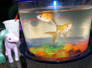 R.I.P. Quenny & Rita. We all luv u.CC & Casey.