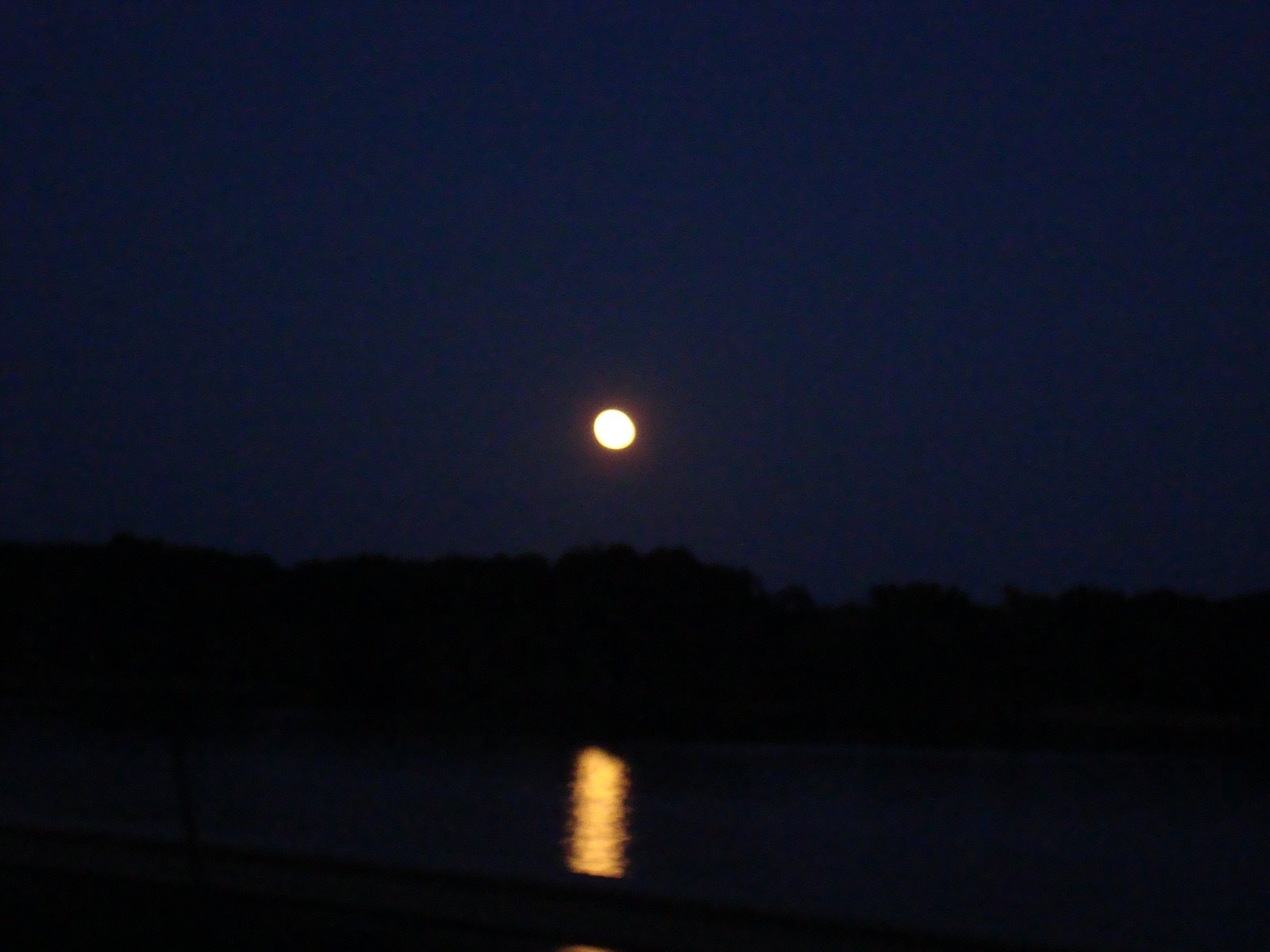 [DSC06154.JPG]