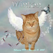 Rest in Peace my Sweet Winton! I love you!