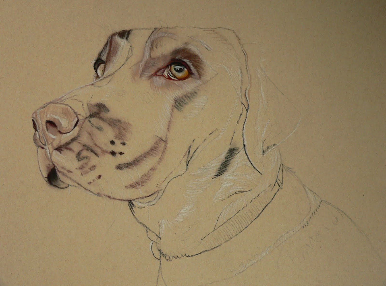 Pencilpix by Sue Clinker 10/06 COCO PASTELS ON FISHER 400 SANDED PAPER