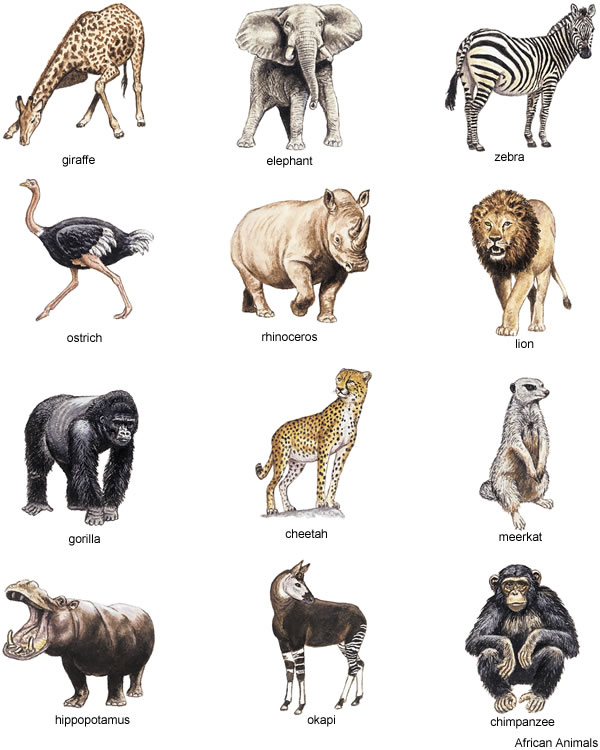 free clipart african animals - photo #1