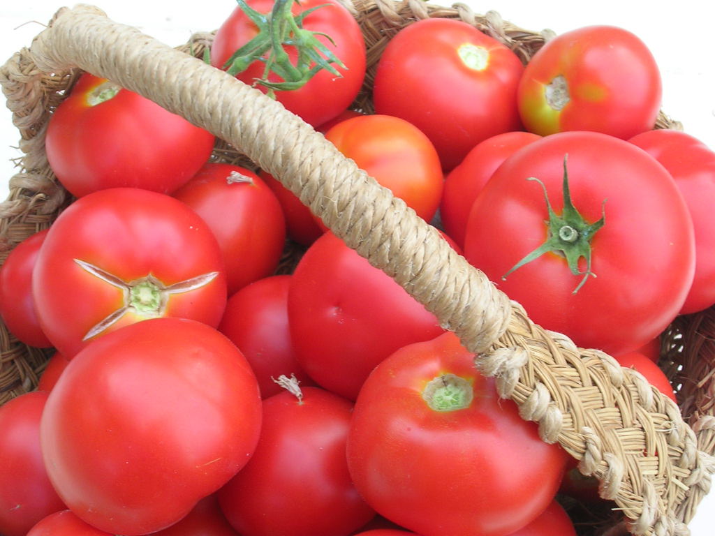 MY KITCHEN IN SPAIN TOMATO GLORY DAYS