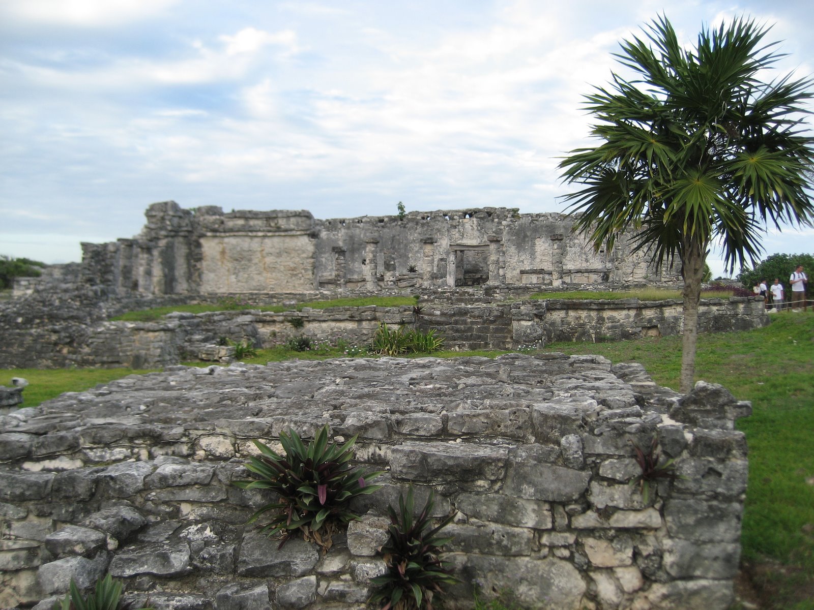 [IMG_1695.JPG]