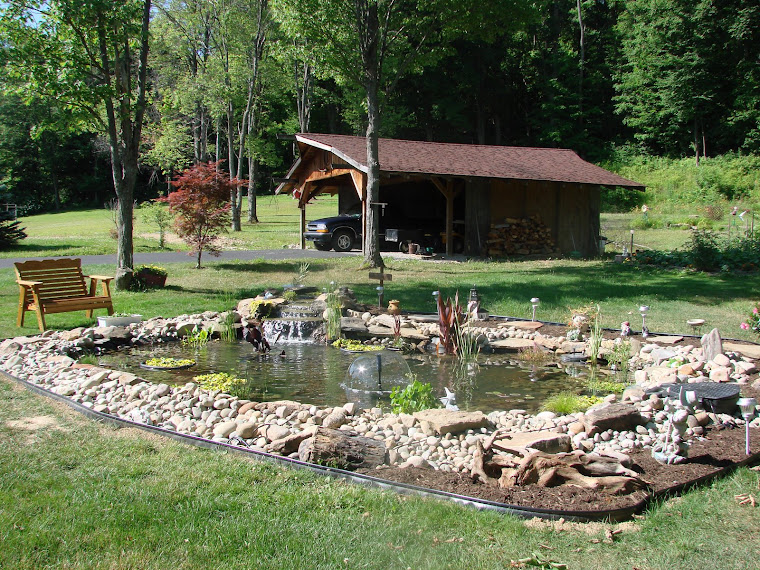 Summertime at the pond