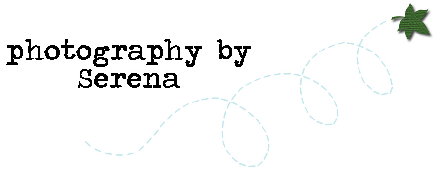 serena thomas pricing