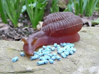 Resultado de imagen para FOSFATO DE HIERRO PARA controlar babosas en el jardin