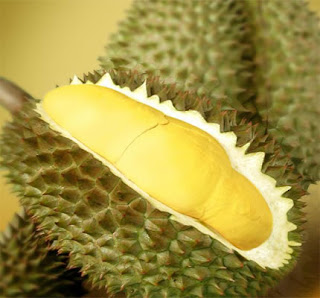 "Durian" fruit