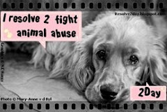 Resolve to fight animal abuse today