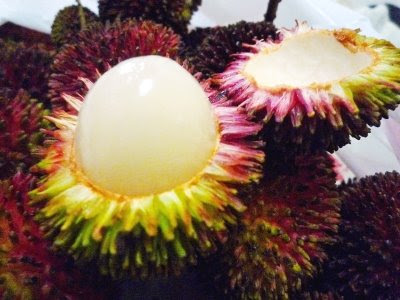 little Joy: Rambutan? Pulasan?