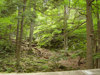 Cunningham Falls State Park Catoctin, Thurmont