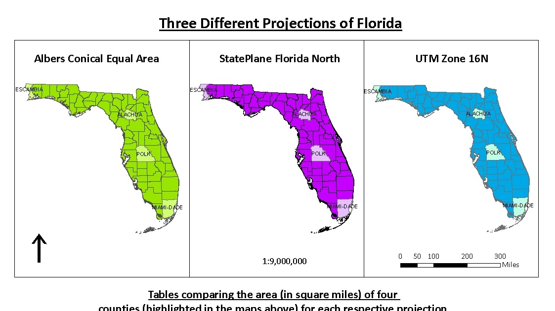 Lizanne's Applications in GIS Blog: WEEK 4 LAB: PROJECTIONS OF FLORIDA