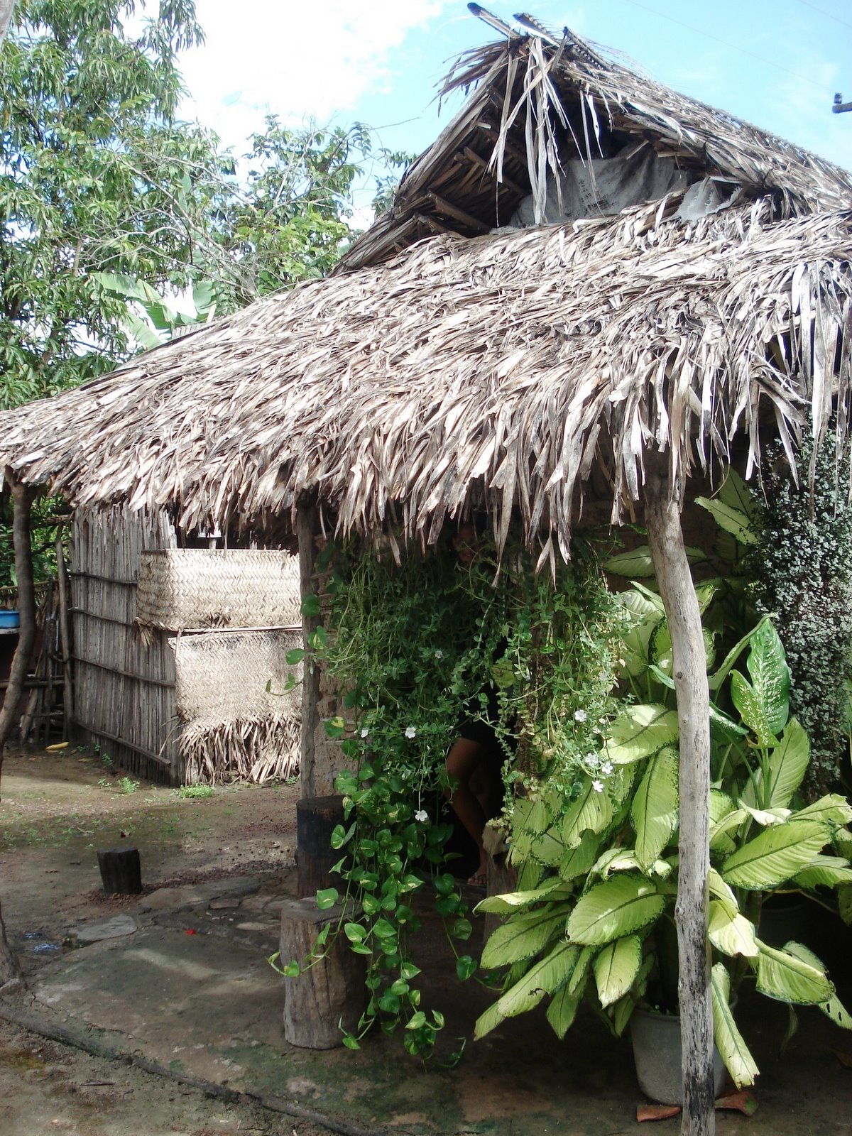 [DSC09858.JPG]