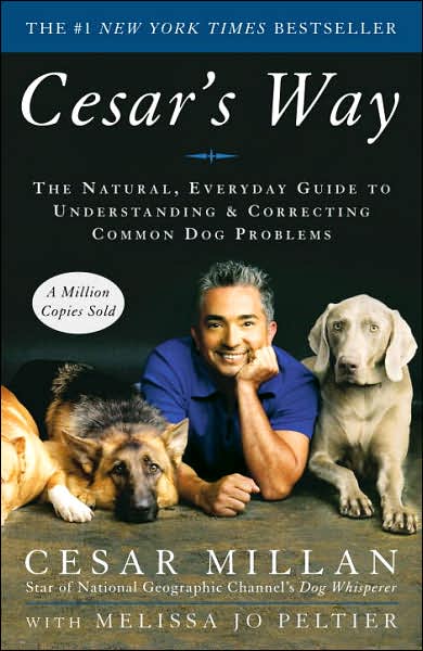 Does Cesar Dog Food Need To Be Refrigerated Does Cesar Dog Food Need To Be Refrigerated