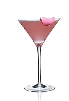 [pink-martini-main_Full.jpg]