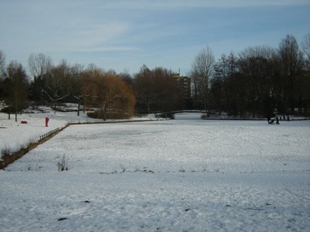 [winterfoto's+park+jan+2009+008.JPG]