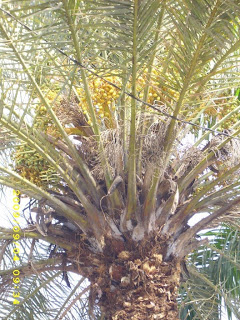 Aktivitas Jurnalistik Independen Indonesia (AJII): Kota ...