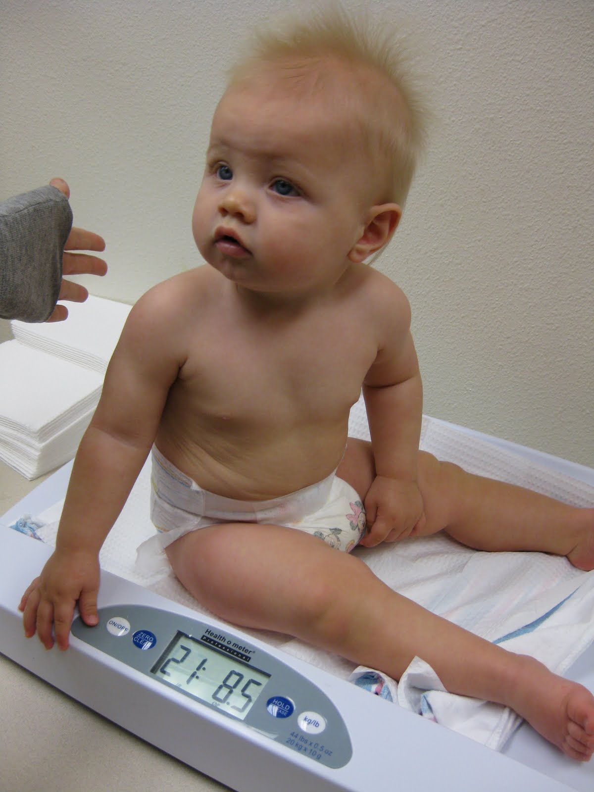 Katz Kidz: Kohlston - 9 Months Old!