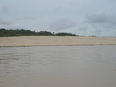 Praia do Rio Juruá