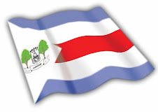 Bandeira de Carauari