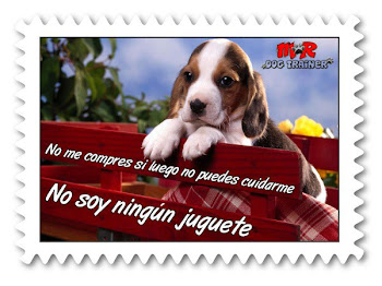 No regales mascotas