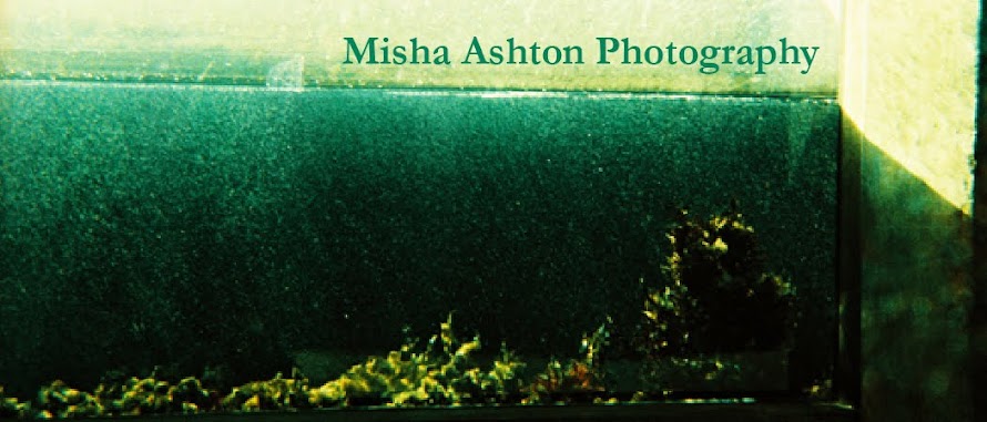 Misha Ashton Photography