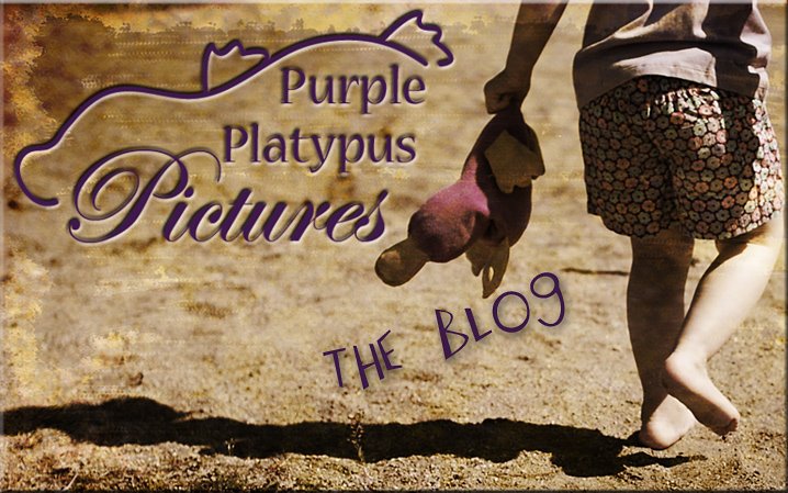 Purple Platypus Pictures: Family, Senior, Children Photographer in Columbus Ohio