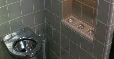 3shells.jpg