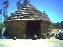 ruka mapuche