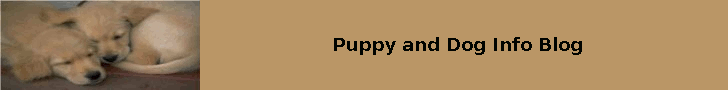 puppyanddoginfo