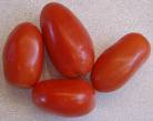 [Roma+Tomatoes.jpg]