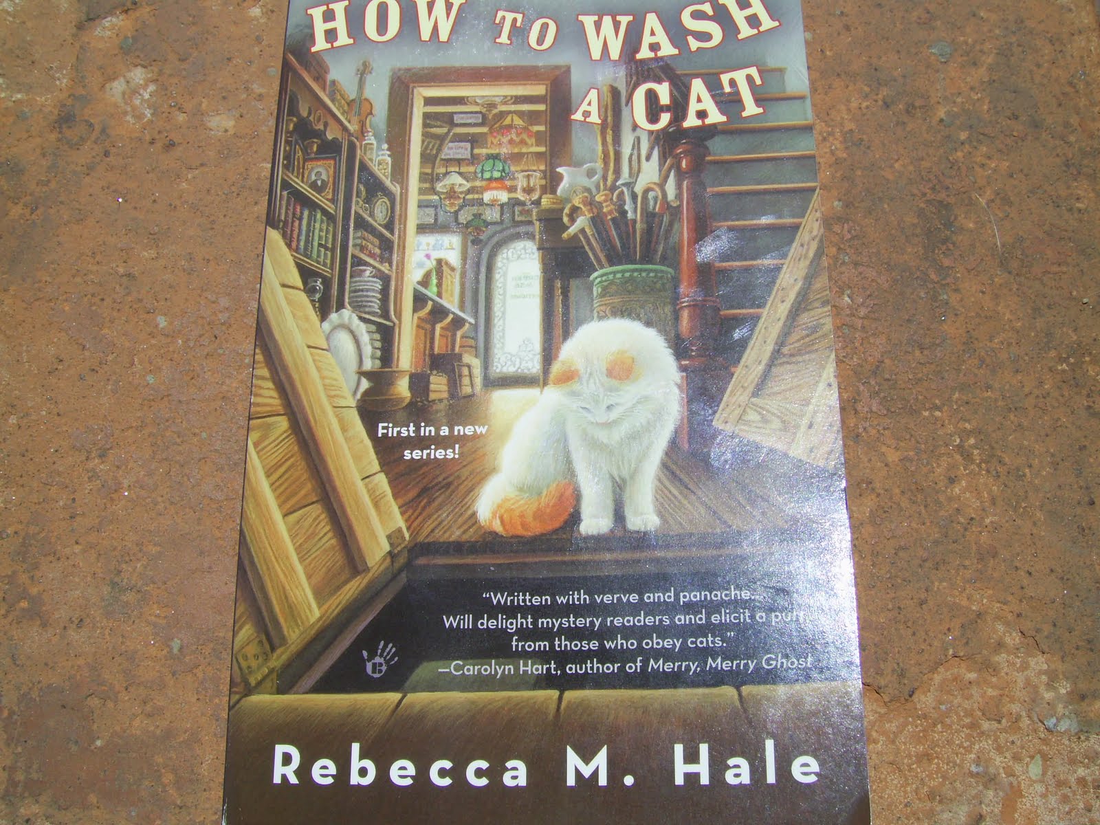 the stay at home bookworm Rebecca M. Hale "How To Wash a Cat"