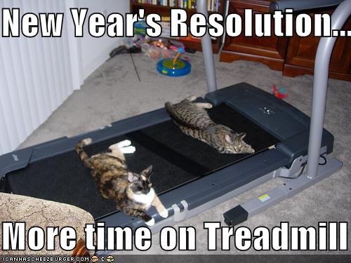 [cats-treadmill.jpg]