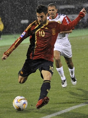Cesc Fabregas World Cup 2010 Photos