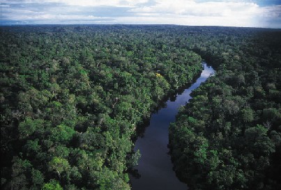 Amazon River+Amazon Rainforest