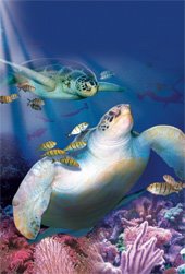 [sealife-turtles.jpg]