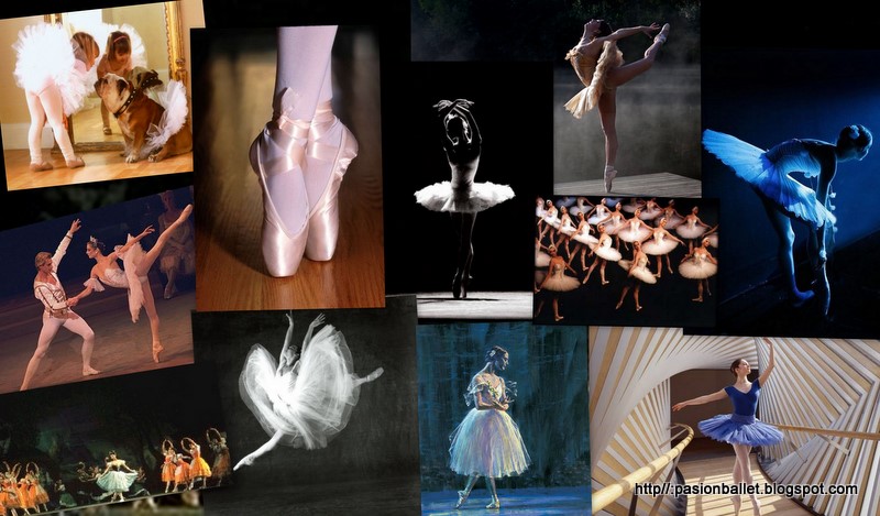 Pasión por el ballet: Collage