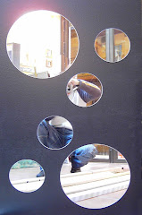 burbujas