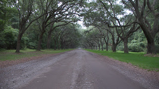 wormsloe savannah plantation
