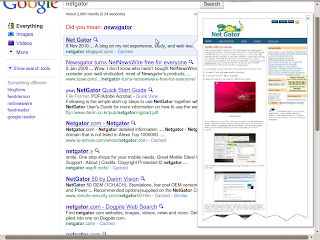 Google search showing preview