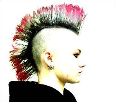 [punkrock-hairstyles.jpg]