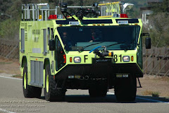 AFF 81