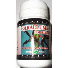 Extrait Caralluma Fimbriata 1200 Mg - Gélules Perte De Poids, Naturel, Origine Inde