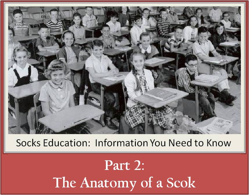 Lessons From Socks Sara vs. Sarah: Socks Education Part 2: The Anatomy of a Sock