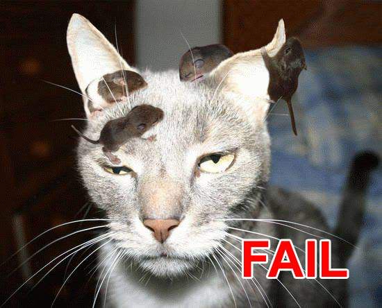El Circo del Vicio: Cat Fail