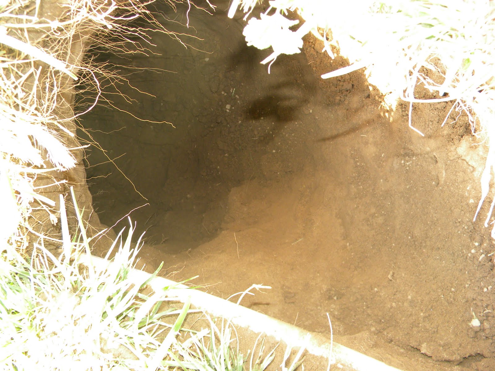 The Holmes Family How to dig your own grave...