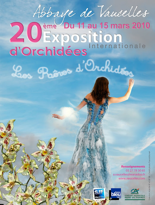 Rêves d'Orchidées