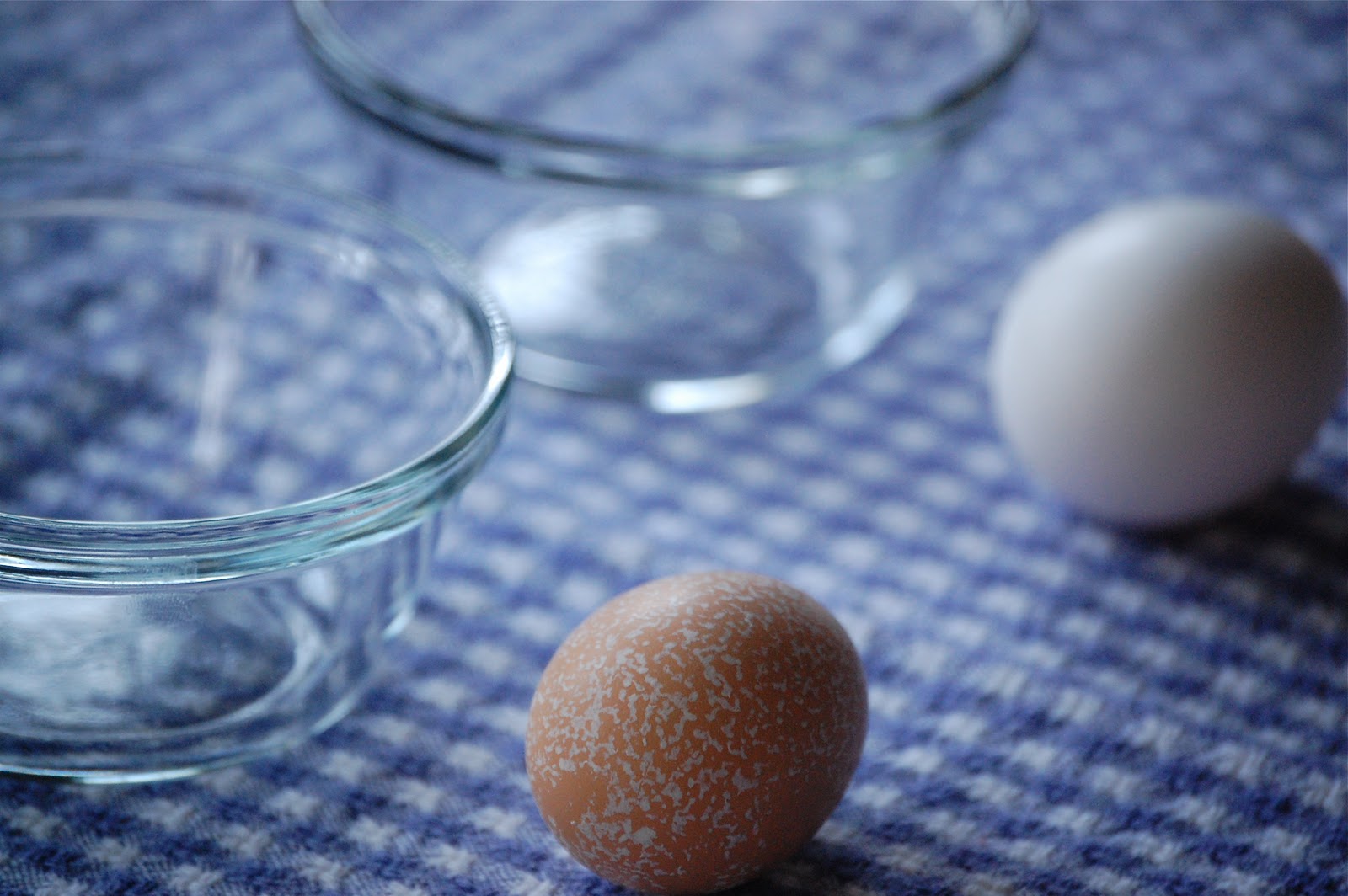 Heritage Schoolhouse Heritage Farm Fresh Egg vs. Store Bought Egg )