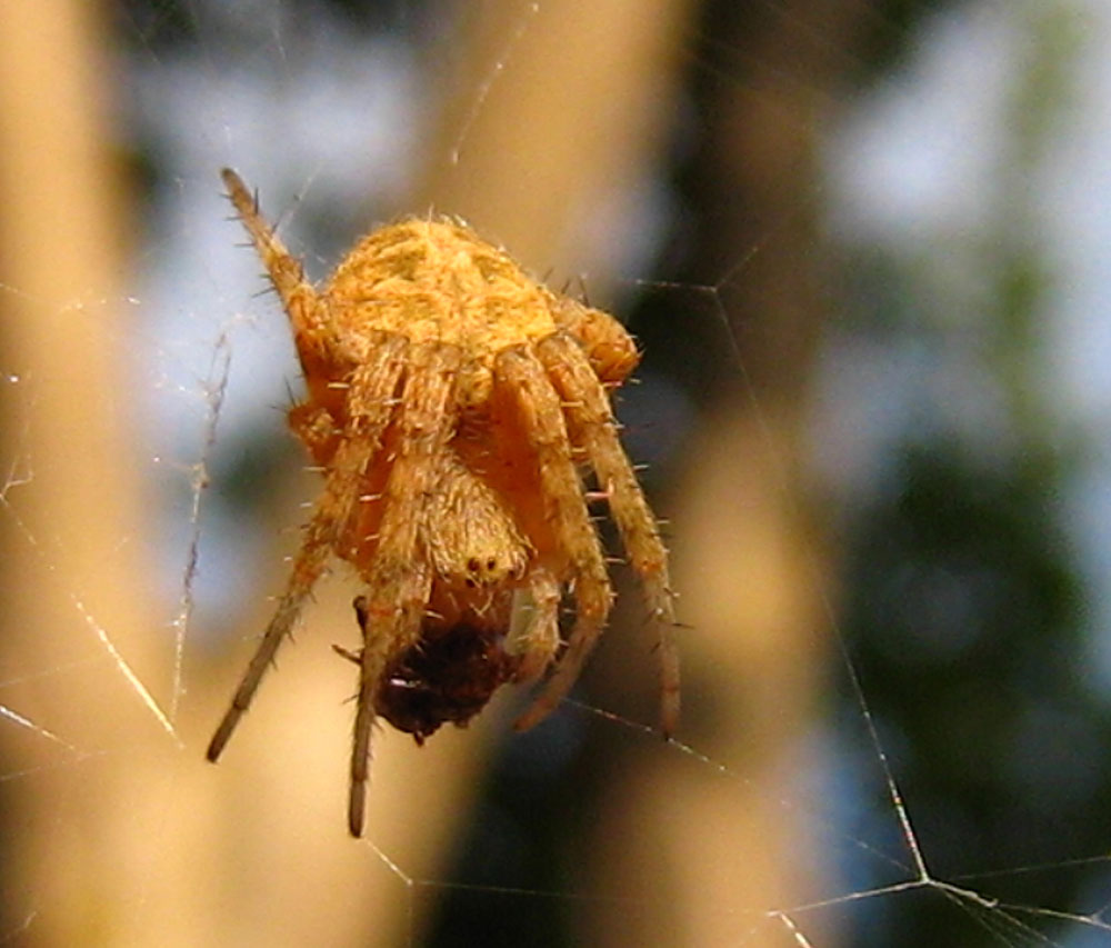 [IMG_3213.jpg]