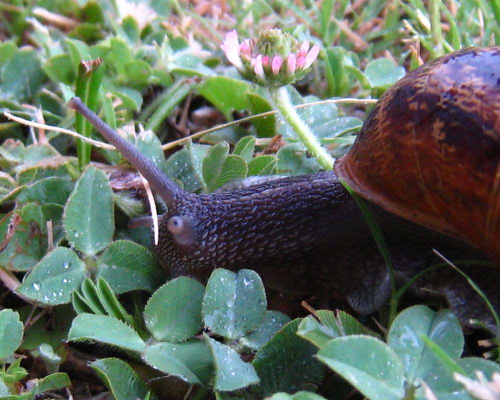 [IMG_3233.jpg]